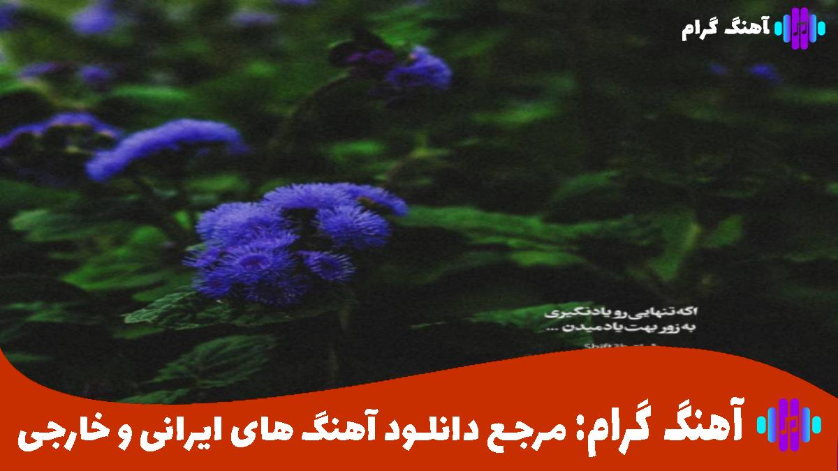 کاور آهنگ با اینکه دلگیرم ازت الهی الهی از معین و هایده و امیر تتلو و شایع و سورنا